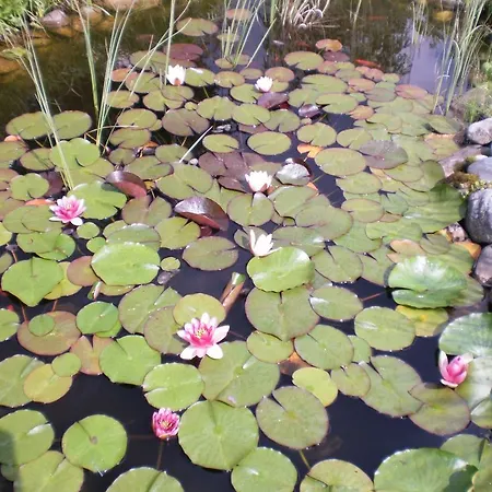 Appartement Leyrer Kotschach-Mauthen