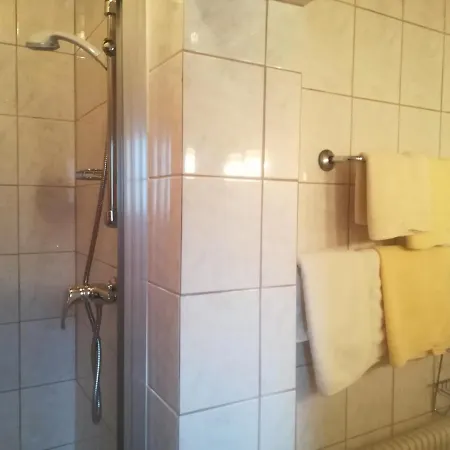 Apartament Leyrer *