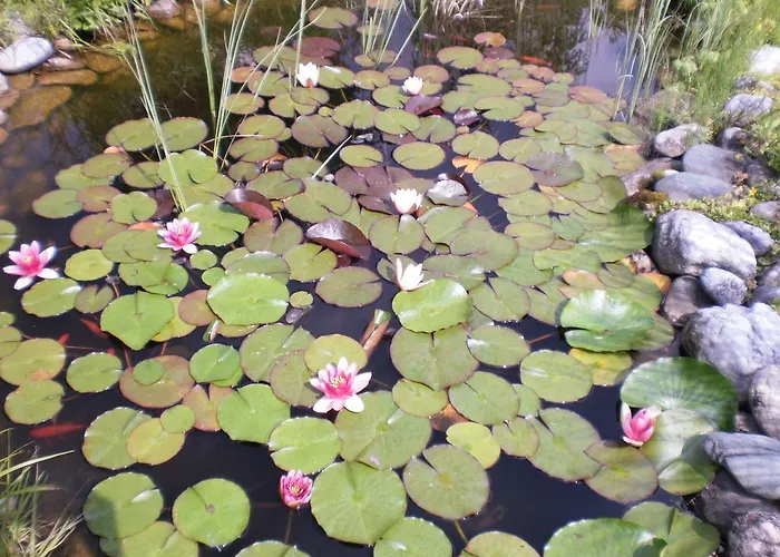 Appartement Leyrer Kotschach-Mauthen